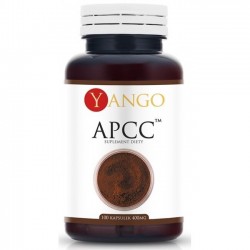 Yango APCC (reishi, shitake, kordyceps, chaga)